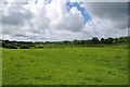 TQ4209 : Water Meadow Beside the Ouse by Glyn Baker