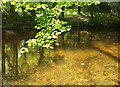 SX7353 : River Avon at Garaland Copse by Derek Harper