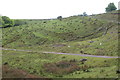 SO2300 : Pasture with ant hills, Blaen-y-cwm by M J Roscoe