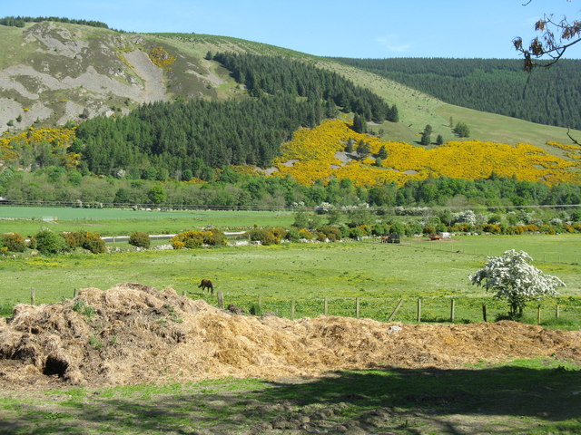 Tweeddale at Innerleithen