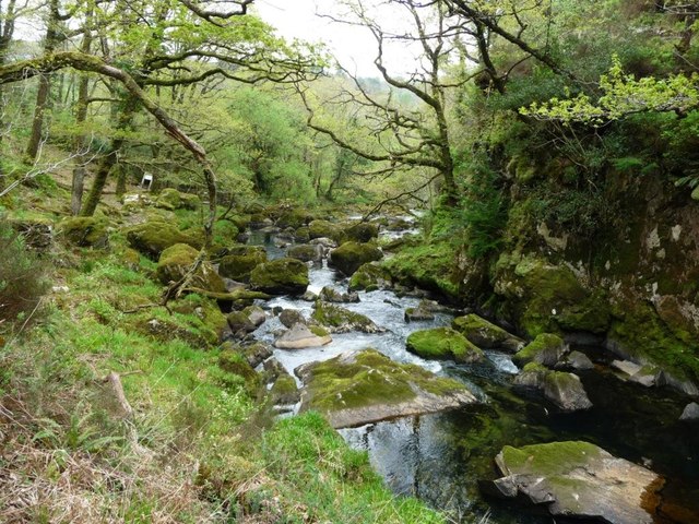 Afon Goedol, downstream from the footbridge