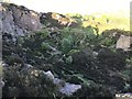 SJ8557 : Disused quarry on Mow Cop by Jonathan Hutchins