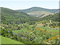 NT3638 : Cairn Hill, Tweeddale by M J Richardson