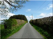  : The road to Bodunig and Penffordd Deg by Christine Johnstone