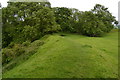 ST6225 : Towards the entrance path, South Cadbury Castle by David Martin