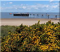 TA3911 : Spurn Lifeboat and Humber Pilots jetty by Mat Fascione