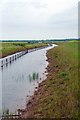 TQ9594 : New Dike on Wallasea Island by Glyn Baker