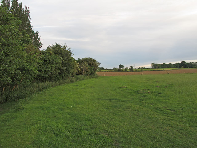 Angles Way at Shipmeadow