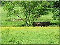 SK1544 : Former railway bridge over a former mill race by Ian Calderwood