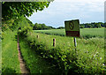 TL9097 : Peddars Way at Boston Plantation by Mat Fascione