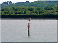 SU4110 : Red Marker Post in Southampton Water by David Dixon