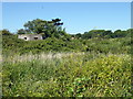 TQ8913 : Type 22 Pillbox at Pett Level by PAUL FARMER