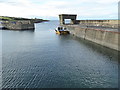 NU2519 : Craster Harbour by PAUL FARMER