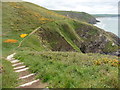 SM8423 : The Pembrokeshire Coast Path near Cwm-bach (set of 2 images) by Dave Kelly