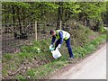 TQ7819 : Volunteer litter picker in Hurst Lane, Sedlescombe by Patrick Roper