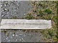 SS6441 : Lynton and Barnstaple Railway  Commemorative Carving by Barrie Cann