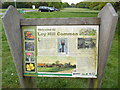 SP9901 : Display Board on Ley Hill Common by David Hillas