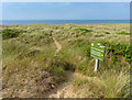 TF7145 : Holme Dunes National Nature Reserve by Mat Fascione