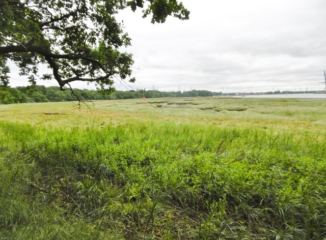 Marchwood, saltmarsh