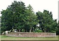 SK5559 : Charles Thompson's Grave, Berry Hill, Mansfield, Notts. by David Hallam-Jones