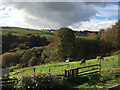 SE0614 : View across Merry Dale Clough, west of Slaithwaite by Robin Stott