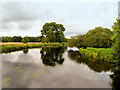 SU3326 : River Test near Mottisfont by David Dixon