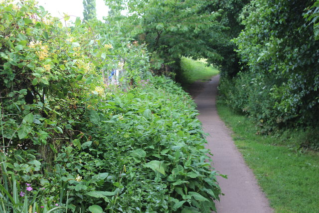 Footpath behind allotments, Glasllwch