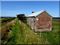  : Grass pathway, Carrowmuddle by Kenneth  Allen