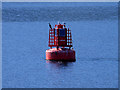 NN0061 : Port Marker Buoy in Loch Linnhe by David Dixon