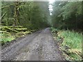 NY7282 : Forest track and footpath, Wark Forest by Graham Robson