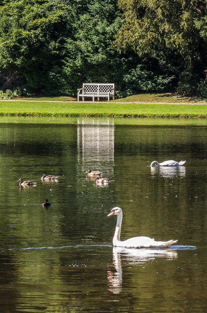 Half Moon Pond