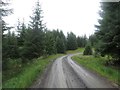 NY6884 : Forest track in Falstone Forest by Graham Robson