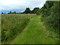 NS3875 : Path in Havoc Grassland by Lairich Rig