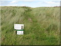 NU0943 : Sand dunes on Lindisfarne by M J Richardson