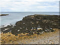 NU2328 : Rocky shore at Beadnell by M J Richardson