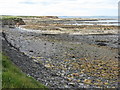 NU2328 : The coast at Beadnell by M J Richardson