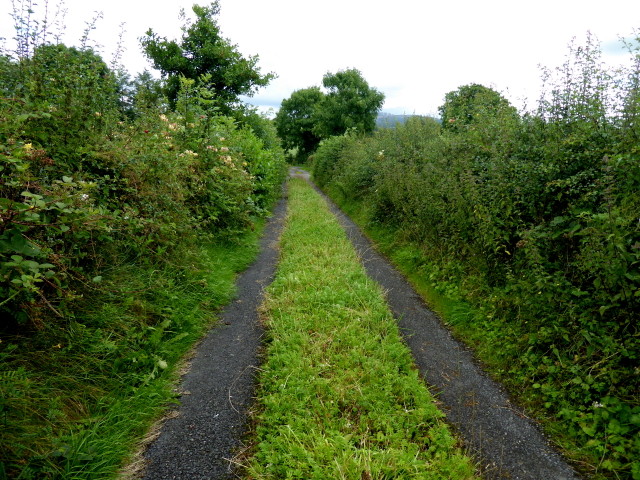 Lane at Bomackatall Upper