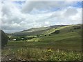 SD7797 : Looking down the Eden Valley by Graham Hogg