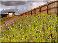 SD7912 : Wildflower Bank and Burrs Station (East Lancashire Railway) by David Dixon