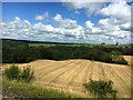 NY4850 : Harvested field in the Eden Valley by Graham Hogg