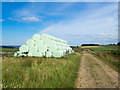 NY8956 : Silage bales beside farm and estate road by Trevor Littlewood