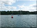 TM2138 : Butt navigation buoy, River Orwell, on a falling tide by Christine Johnstone