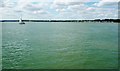 TM2437 : The River Orwell near Collimer Point, looking upstream by Christine Johnstone