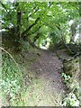 SS8911 : Ford Lane, a footpath from Little Heath to South Ford  by David Smith