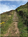 SS0897 : Steps near  Lydstep Caverns by PAUL FARMER