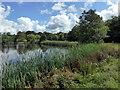 SN0516 : Lake at Park House Farm by PAUL FARMER