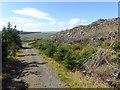 NY6295 : Forest road on the slopes of Deadwater Fell by Oliver Dixon