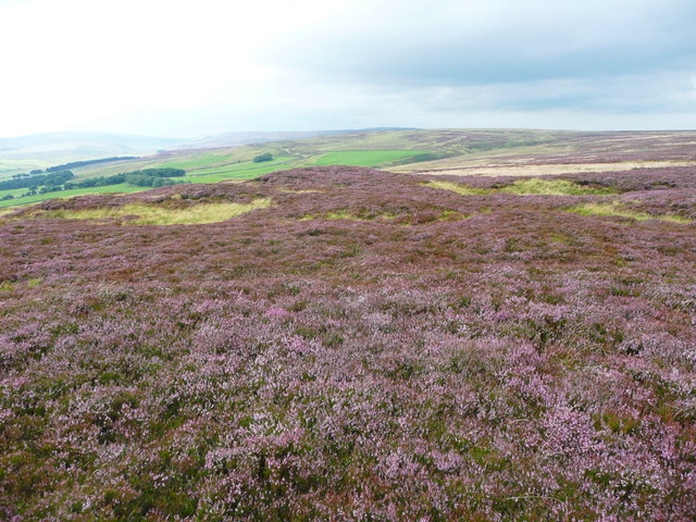 View from the summit of Shackleton Knoll, Wadsworth