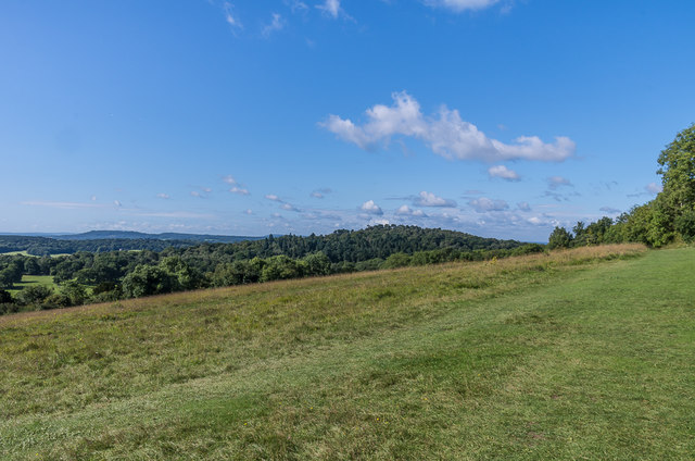 Albury Downs