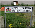 SS7597 : Here be dragons, Cribbs Row, Neath by Jaggery